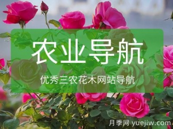 农业花木网址导航_十大农业网站