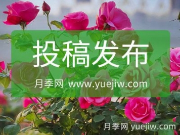投稿发布