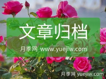 月季网网站地图