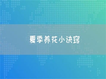夏季养花小诀窍