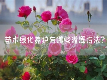 苗木绿化养护有哪些灌溉方法？