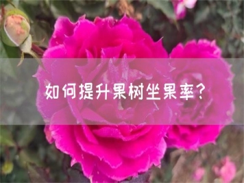 如何提升果树坐果率？
