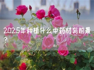 2025年种植什么中药材有前景？