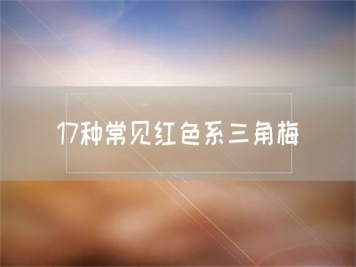 17种常见红色系三角梅