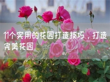 11个实用的花园打造技巧，打造完美花园