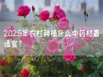 2025年农村种植什么中药材最适宜？