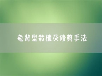 龟背型栽植及修剪手法