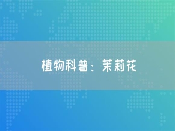 植物科普：茉莉花