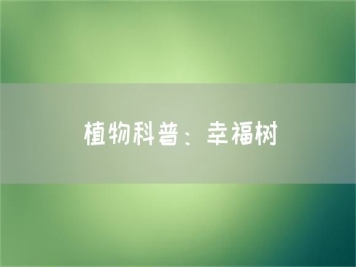 植物科普：幸福树