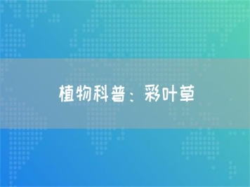 植物科普：彩叶草