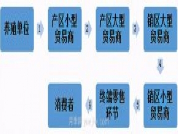 电商平台：鸡蛋销售新渠道