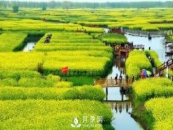 133万公顷！中国苗木花卉产量世界第一！