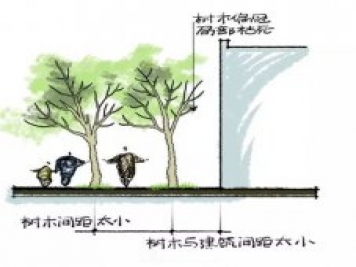 移植苗木终年皆可进行的秘诀