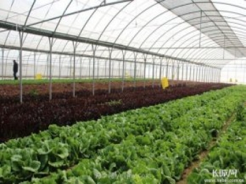 河北高质量建设现代农业产业园