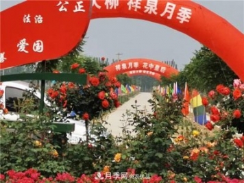 月季为媒 山东德州宁津县扶贫产业结硕果