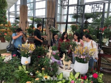 第十届中国月季展览会南阳市荣获奖项40余项