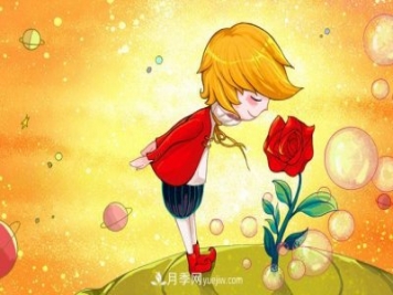 小王子爱的是“月季花”？