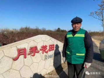 寿光中华月季园，冬季修剪开始行动