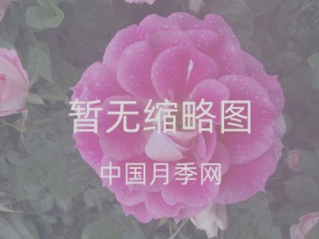 阁楼货架的应用_顶棚