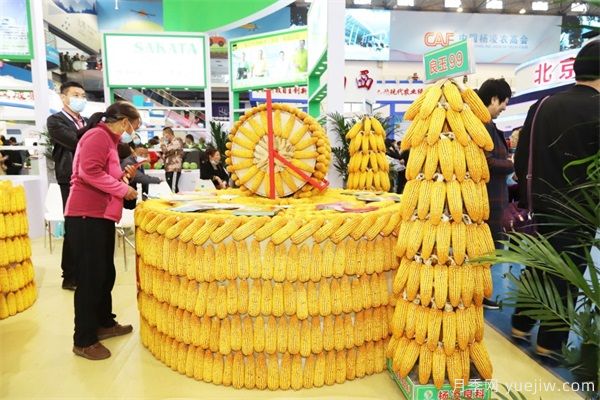 杨凌农科盛会淘出新品种 栽下致富新苗(图2)