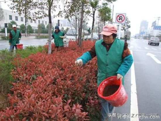 国外的园林绿化是怎么养护的?(图6) 国外的园林绿化是怎么养护的?(图6)