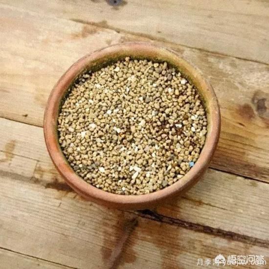 哪些树种可以做街道绿化树种?(图12) 哪些树种可以做街道绿化树种?(图12)