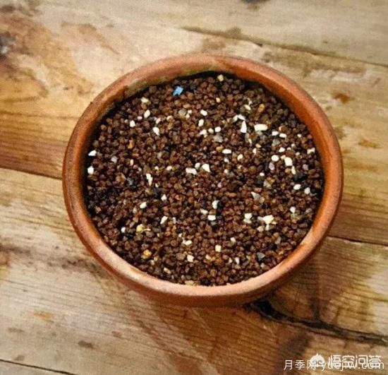 哪些树种可以做街道绿化树种?(图14) 哪些树种可以做街道绿化树种?(图14)