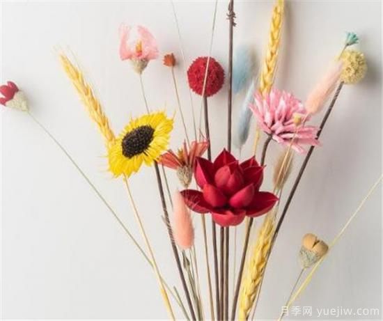 干花插花要不要放水 叶脉干花制作工艺(图1) 干花插花要不要放水 叶脉干花制作工艺(图1)