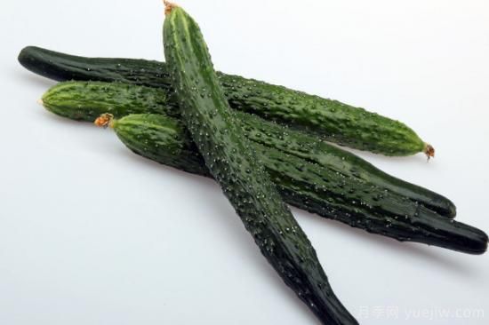 夏季蔬菜品种大全 夏季时令蔬菜大全(图3) 夏季蔬菜品种大全 夏季时令蔬菜大全(图3)