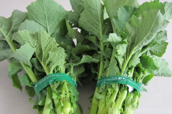 夏季蔬菜品种大全 夏季时令蔬菜大全(图2) 夏季蔬菜品种大全 夏季时令蔬菜大全(图2)