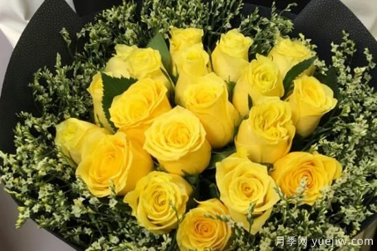 19朵玫瑰花的花语是什么(图2) 19朵玫瑰花有什么寓意(图1)