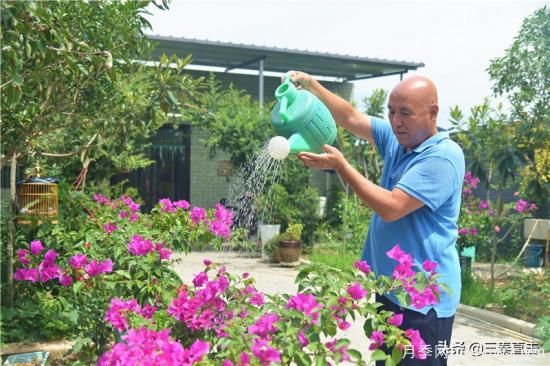 西咸新区：建设美丽家园 助推乡村振兴(图1)