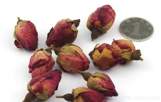 图解月季和玫瑰如何区分?边读诗,边学习!科普(图15) 月季和玫瑰如何区分?图解科普很详细(图15)